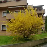 La Madonnina Peschiera del Garda
