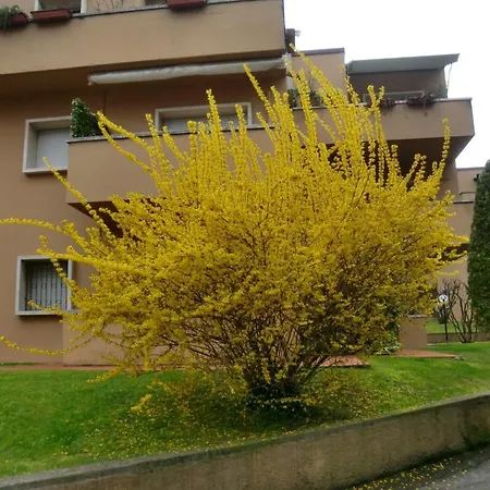 La Madonnina Peschiera del Garda